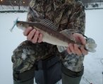IMG_20250108_232908.jpg