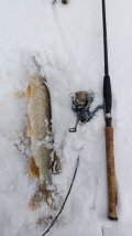 IMG-20250107-WA0002.jpeg