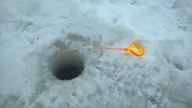 WP_20250107_12_18_27_Pro.jpg