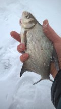 WP_20250107_12_24_12_Pro.jpg
