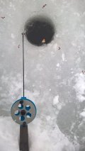 WP_20250107_12_55_45_Pro.jpg