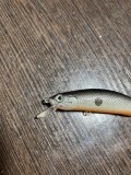 IMG_8191.jpeg