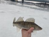 IMG_5323.jpeg