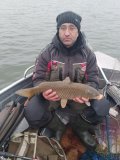 IMG_20250111_140511_423.jpg
