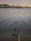 IMG_9207.jpeg