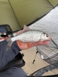 IMG_9237.jpeg
