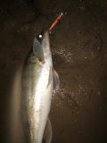 IMG_20250112_202925.jpg