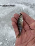 IMG_0763.jpeg