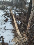 IMG_20250113_105204.jpg
