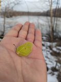 IMG_20250113_100151.jpg