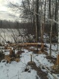 IMG_20250113_105602.jpg