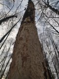 IMG_20250113_123828.jpg