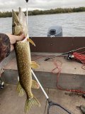 IMG_6310.jpeg