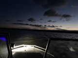 IMG_1768.jpeg