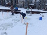 IMG_20250115_090857.jpg