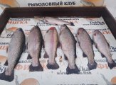 CDBE8D16-7E91-4C94-B882-71062A0D257A.jpeg
