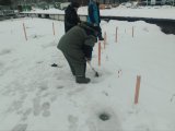 IMG_20250116_093604_379.jpg