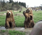 943.gif