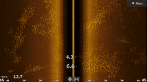 Screenshot_2024-11-23_11.25.36.png
