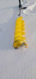 IMG_20250116_124226.jpg