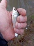 IMG_20250118_130230.jpg