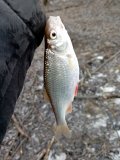 IMG_20250118_134639.jpg