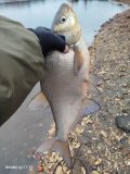 IMG_20250118_133729.jpg