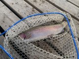 IMG_3188.jpeg