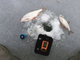 IMG_20250120_130649.jpg
