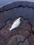 IMG_20250121_140532.jpg