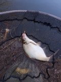 IMG_20250121_134736.jpg