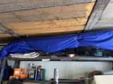 IMG_5803.jpeg