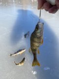 IMG_3274.jpeg