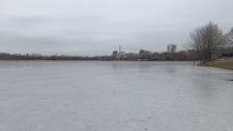 IMG_20250123_101200.jpg