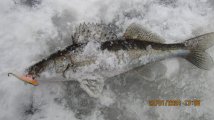 IMG_3508.JPG
