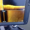 IMG_20241129_145013.jpg