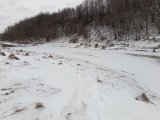 IMG_20250123_155953.jpg