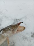 IMG_20250123_130252.jpg