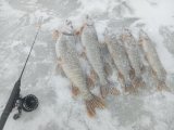 IMG_20250123_150233.jpg