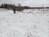 IMG_20250123_155458.jpg