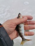 IMG_20250125_112943.jpg