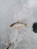 IMG_20250125_122053.jpg