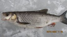 IMG_3503.JPG