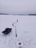 IMG_20250125_083844.jpg