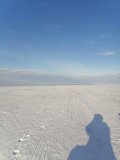 IMG_20250125_130607.jpg