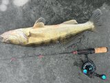 IMG_1675.jpeg