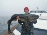 IMG_20210722_164921.jpg