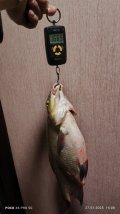 IMG_20250127_160839.jpg