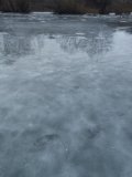 IMG_20250128_081427.jpg