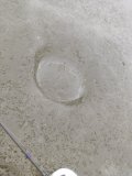 IMG_20250128_154818.jpg